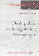Droit public de la régulation économique